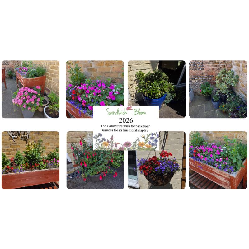 Age Concern Sandwich Recognised Once Again by Sandwich in Bloom - Age Concern Sandwich